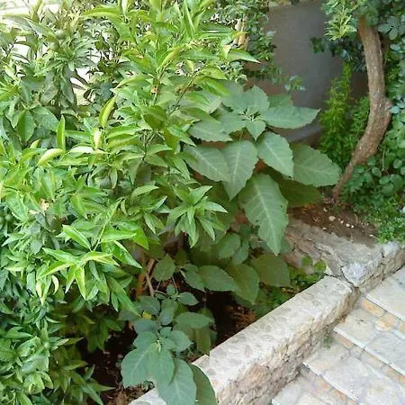 Bor Apartment Makarska